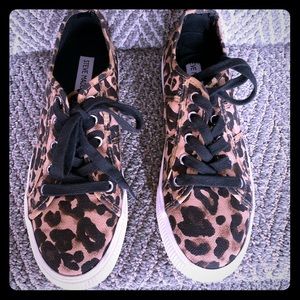 Steve Madden side 8 Emmi Leopard sneakers